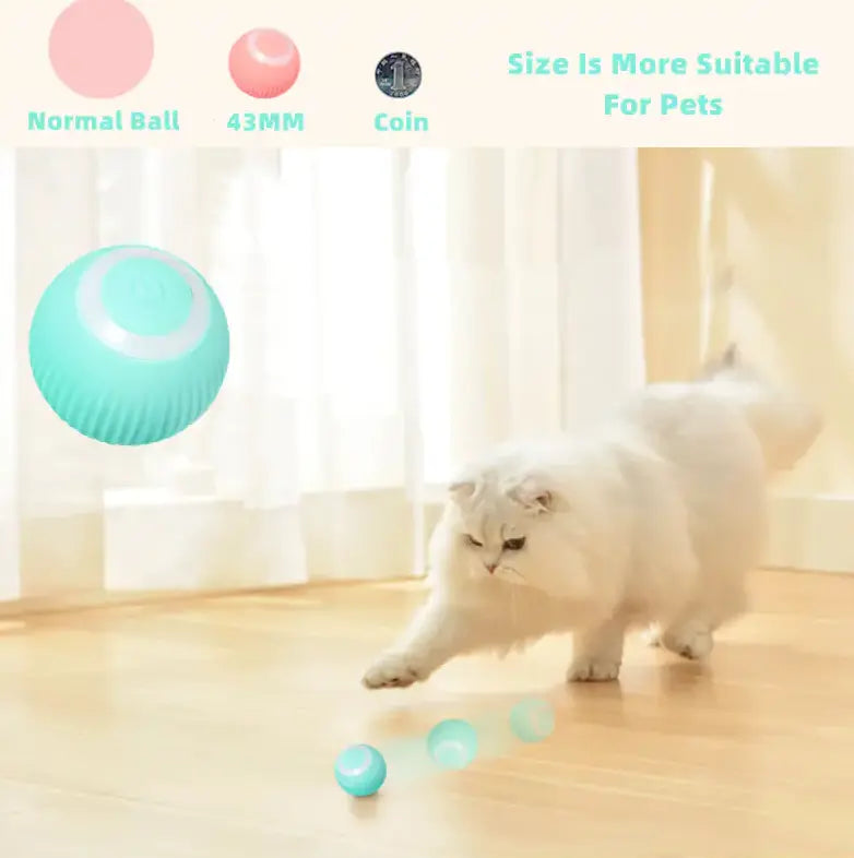 Smart Cat Ball Toys ALI IS CHEAPER