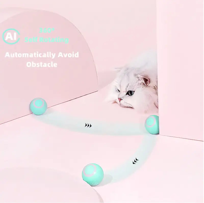 Smart Cat Ball Toys ALI IS CHEAPER